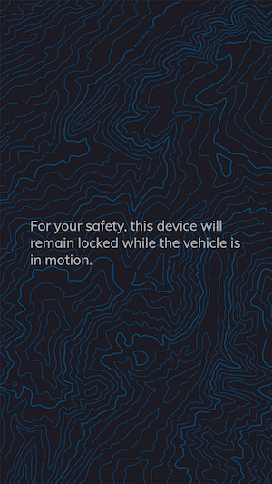 Locked Device