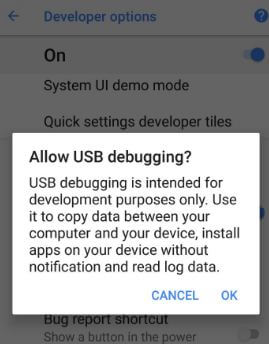 Enable USB Debugging